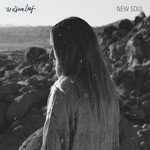 The Album Leaf Songs MP3 Download